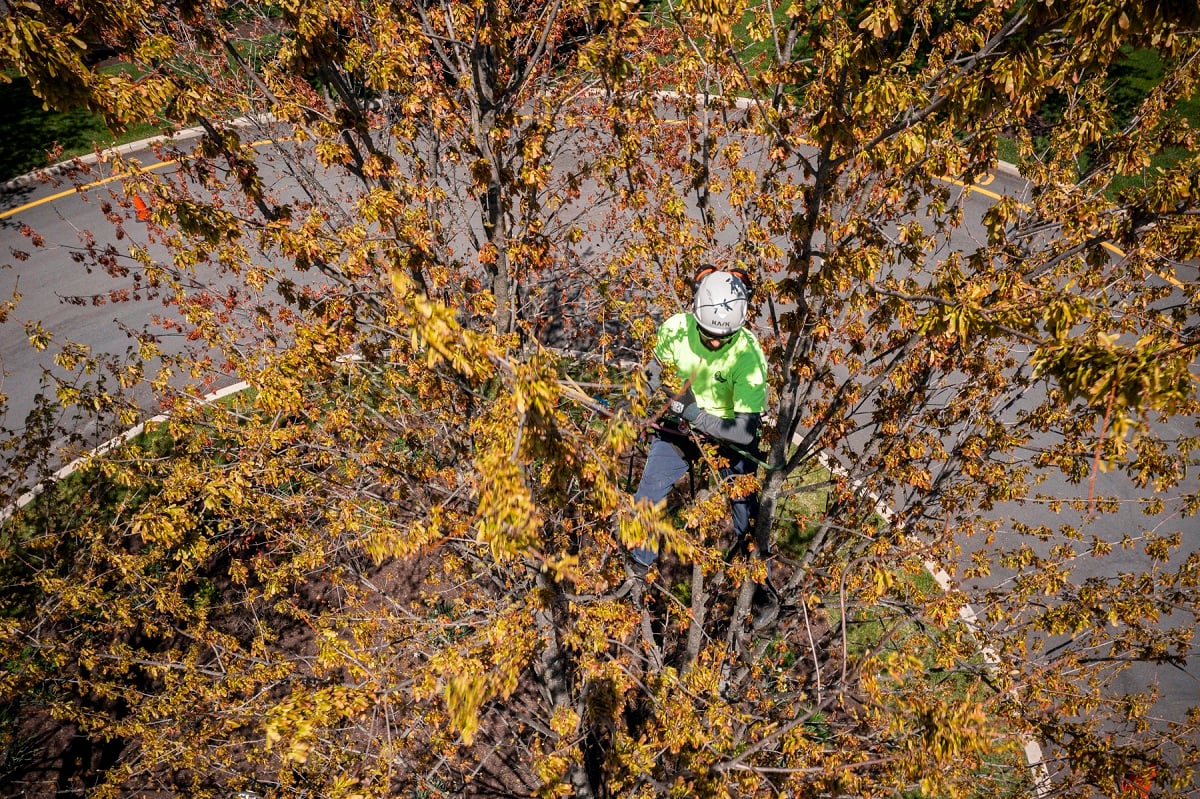 Commercial Tree pruning bucket truck equipement 10