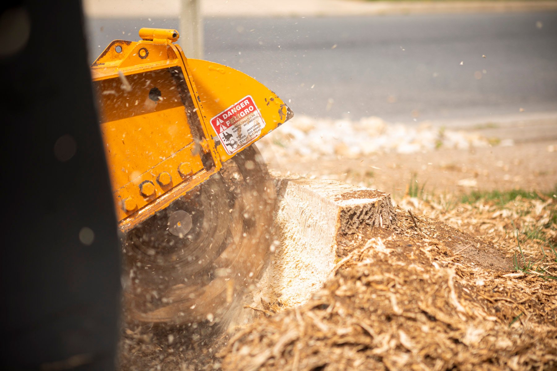 stump grinder removing a tree stump