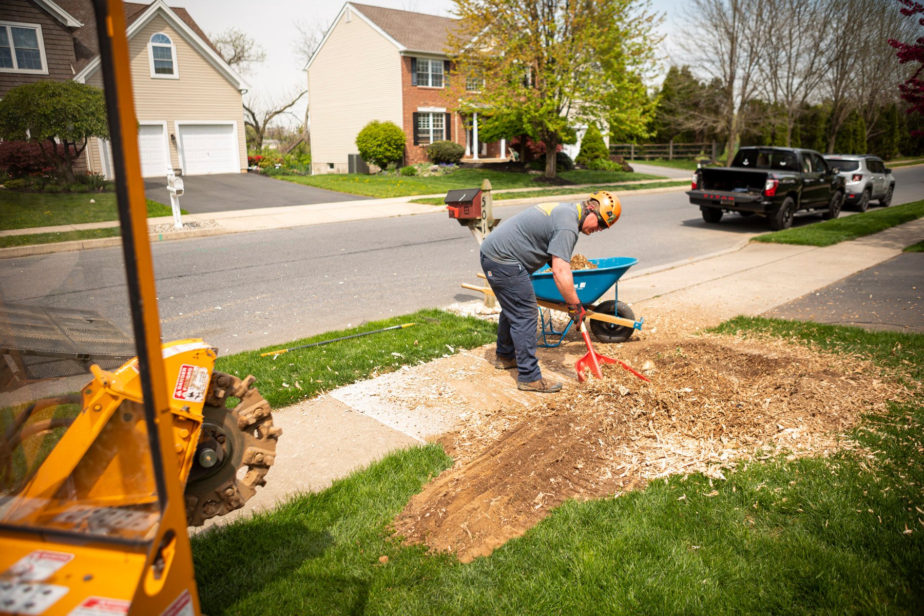 arborist cleaning up sawdust after grinding a tree stump