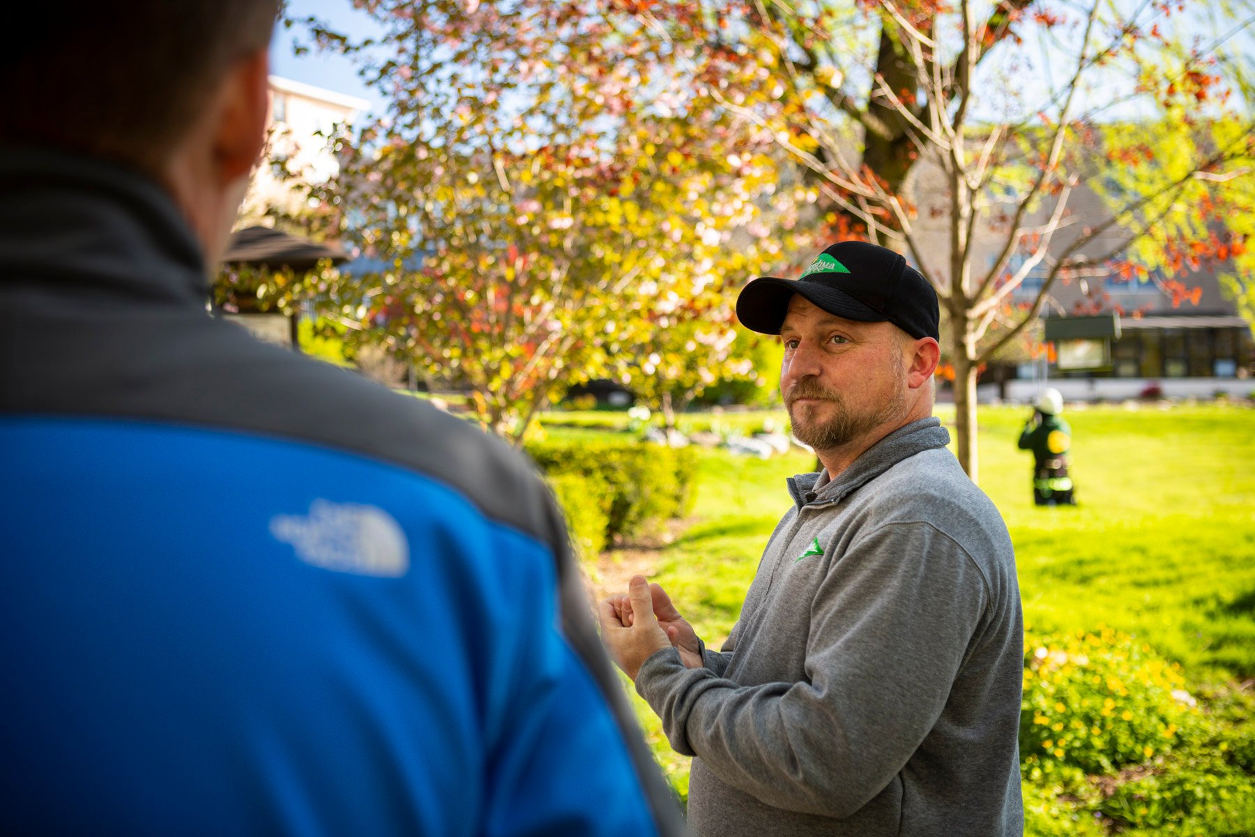 arborist with customer consultation inspection