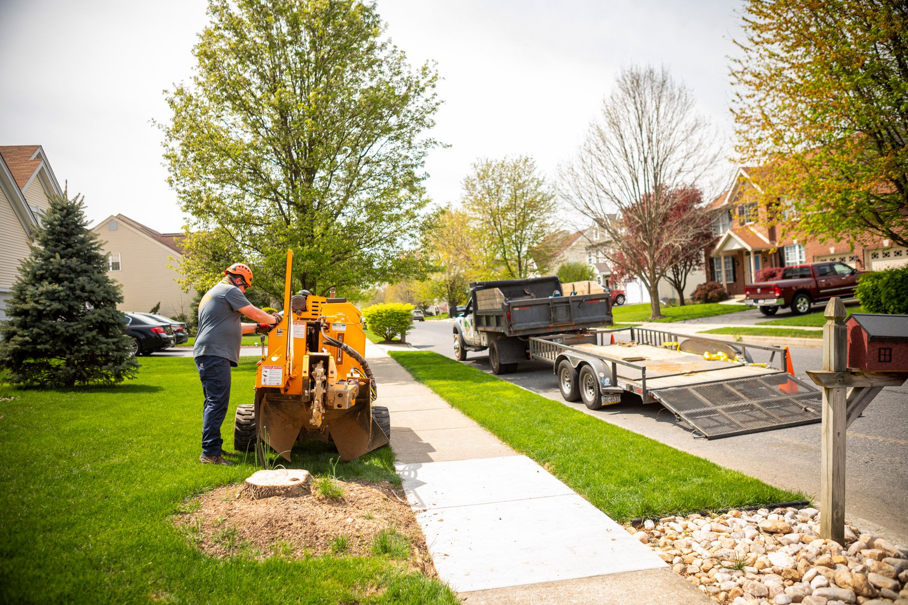 Tree stump technician stump grinder