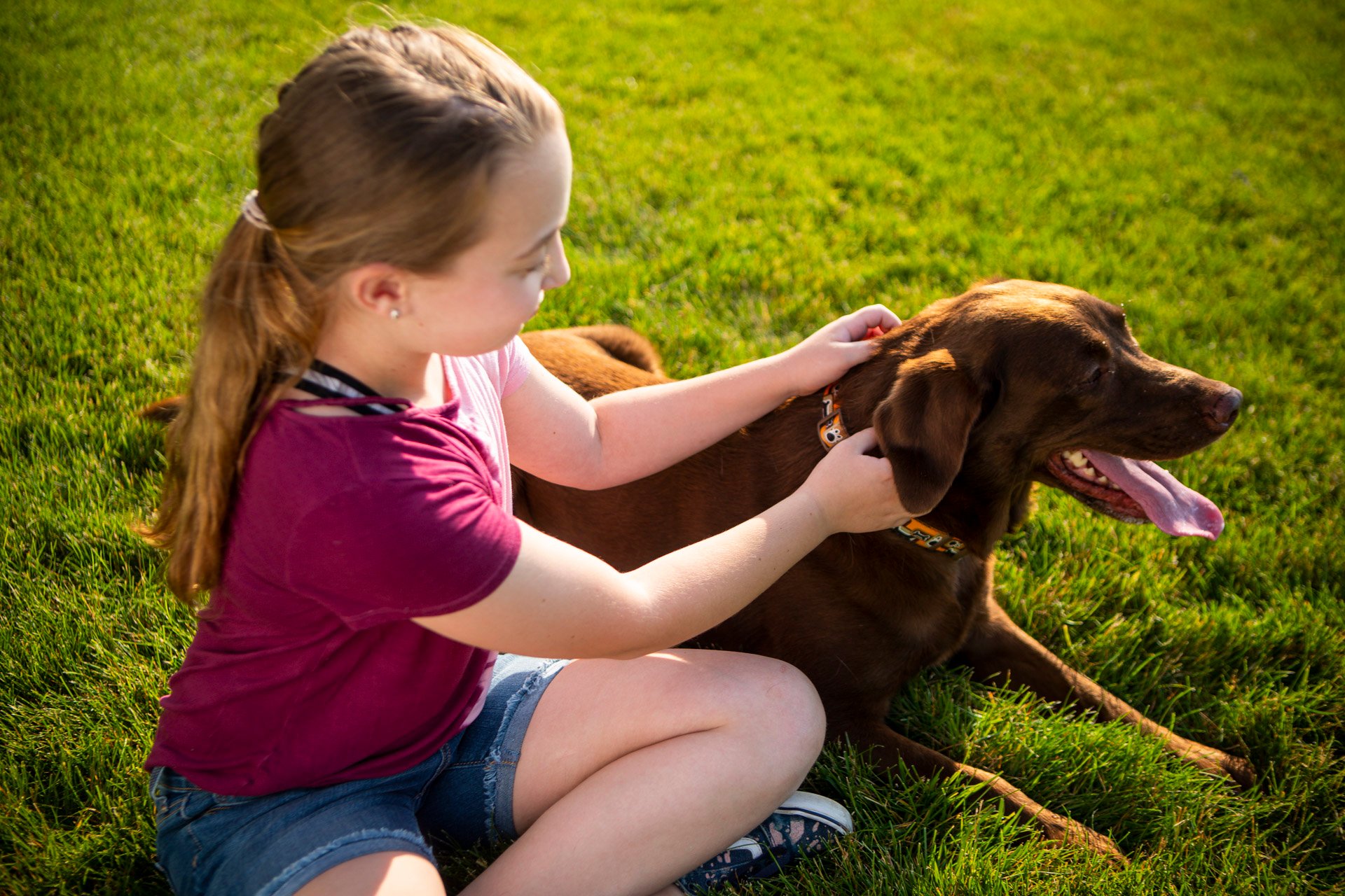 Child and dog in grass