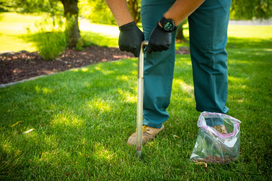 Soil Testing Trees and Lawns in Pennsylvania