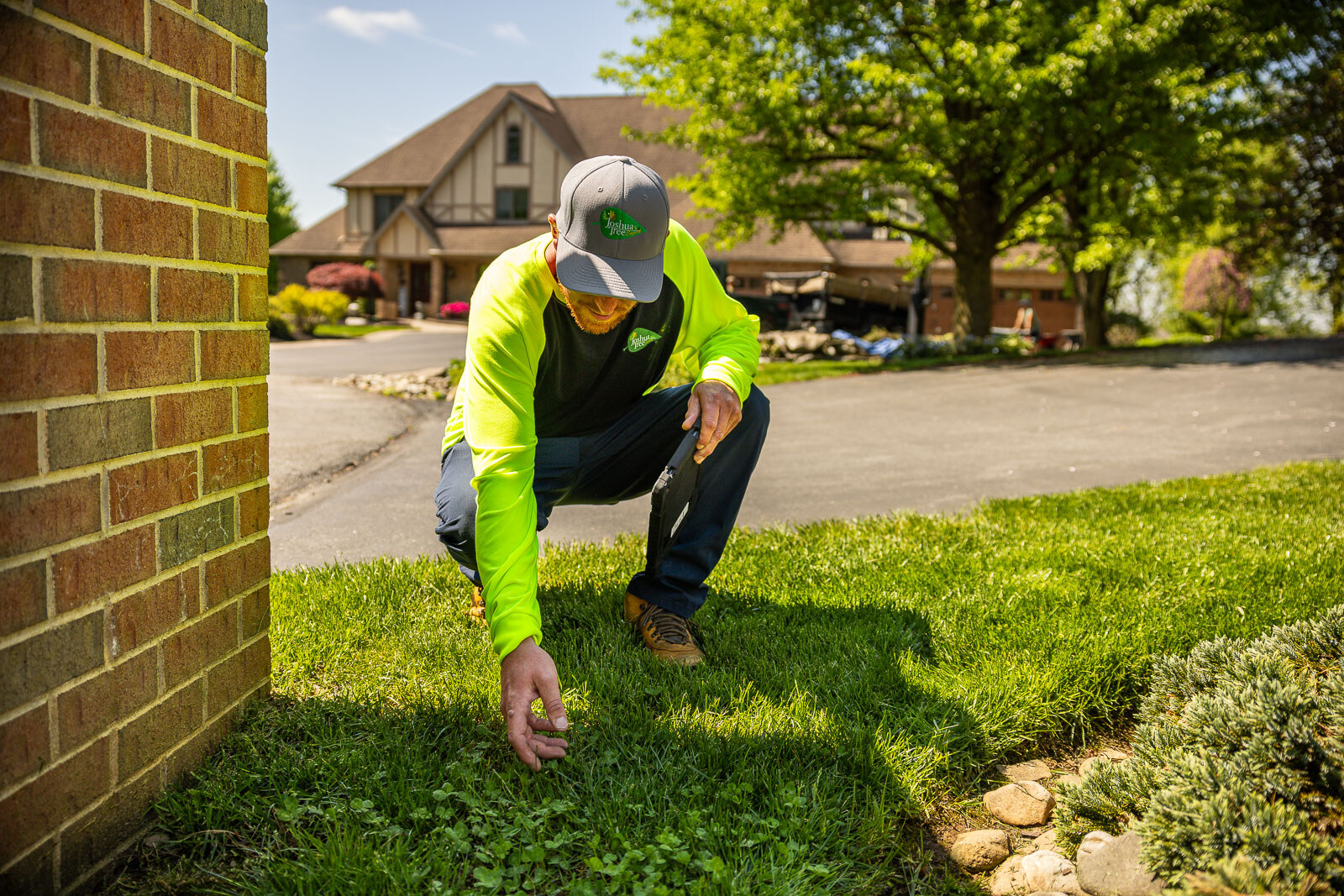 lawn care technician inspecting clover and lawn weeds near a house 2