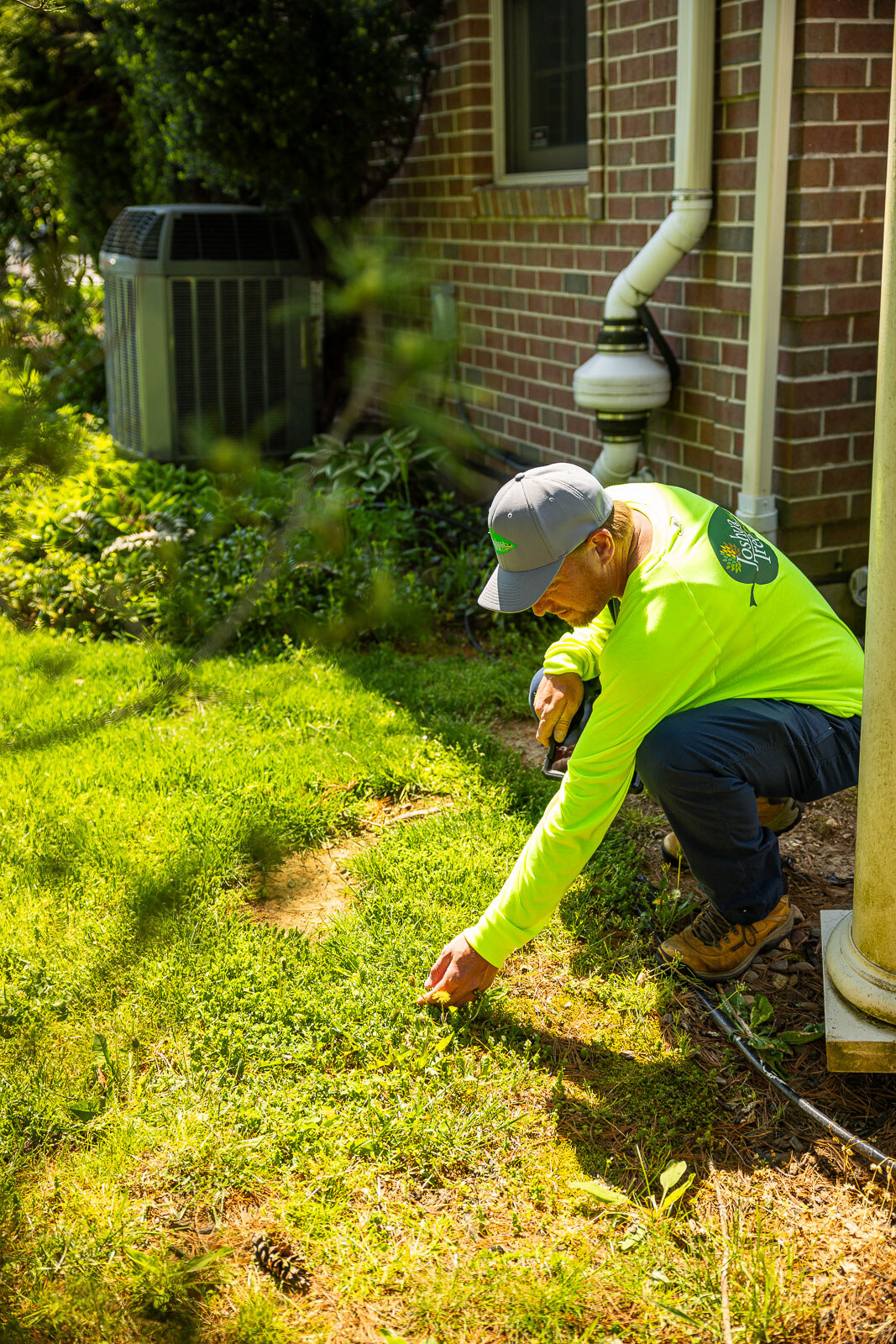 lawn care technician inspecting lawn weeds 6