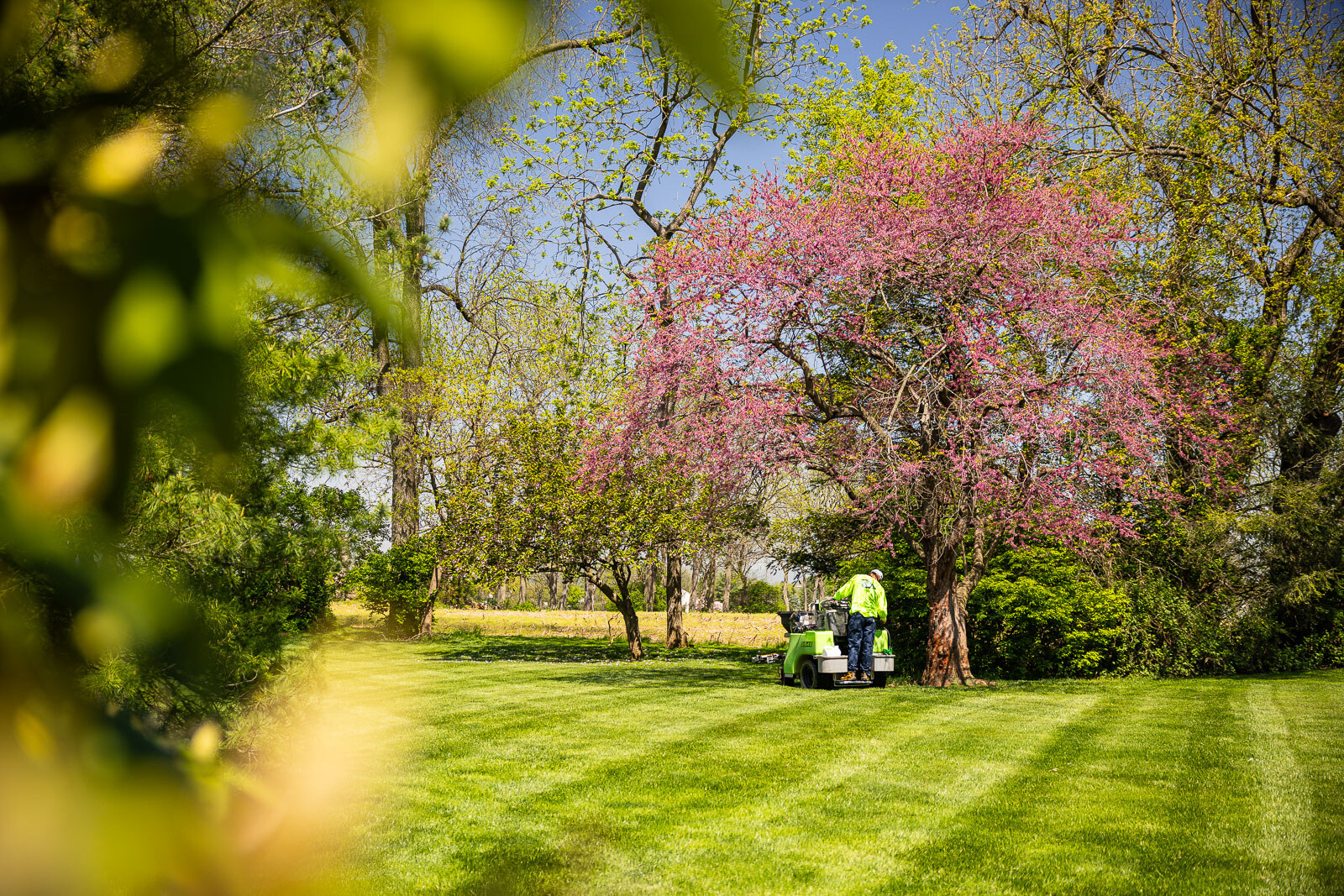 lawn care technician spraying a large lawn with selective weed control