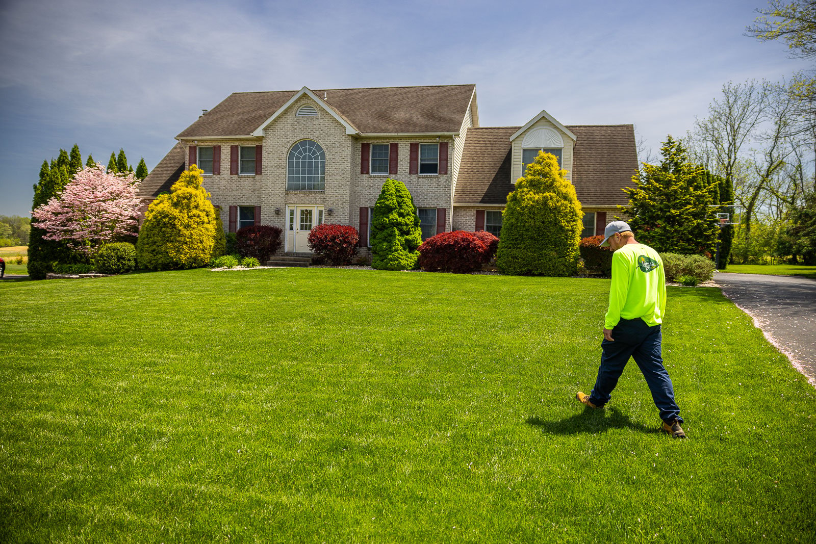 lawn care technician walking a nice lawn inspecting for weeds