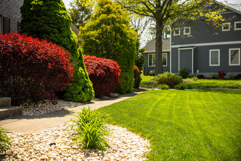 nice lawn and planting beds in front of a house