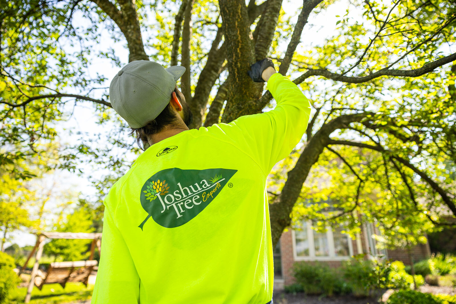 plant health care technician inspecting the trunk of an ornamental tree 7