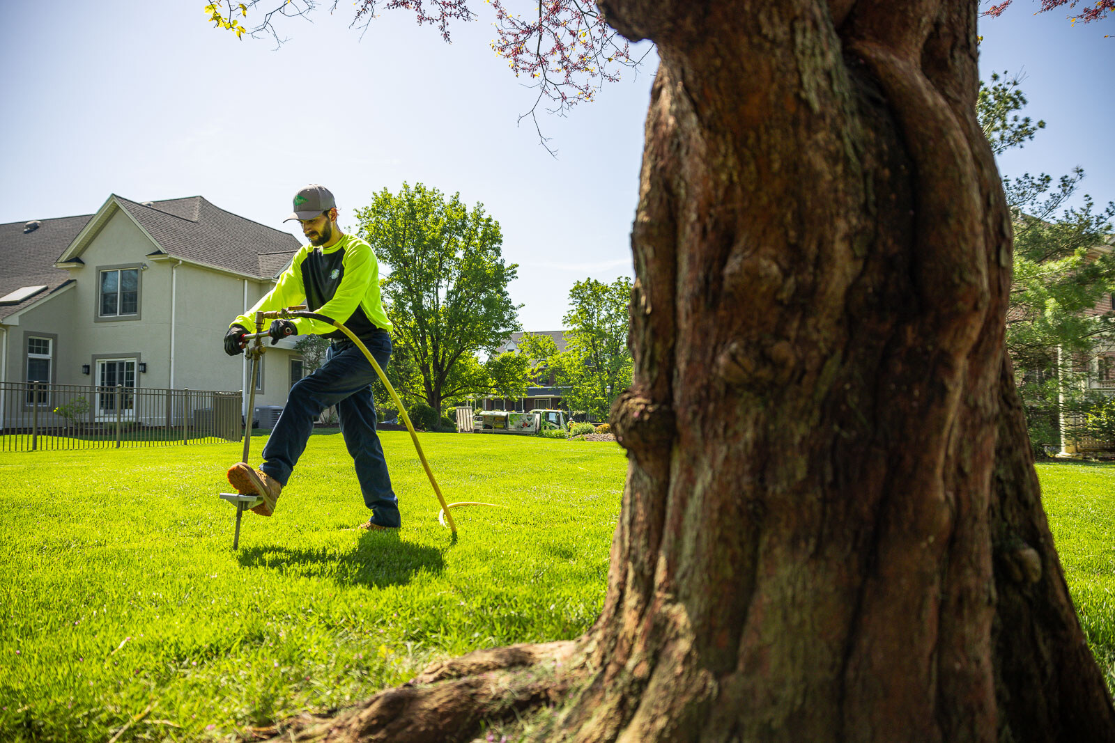 plant health care technician performing deep root fertilization on a large tree