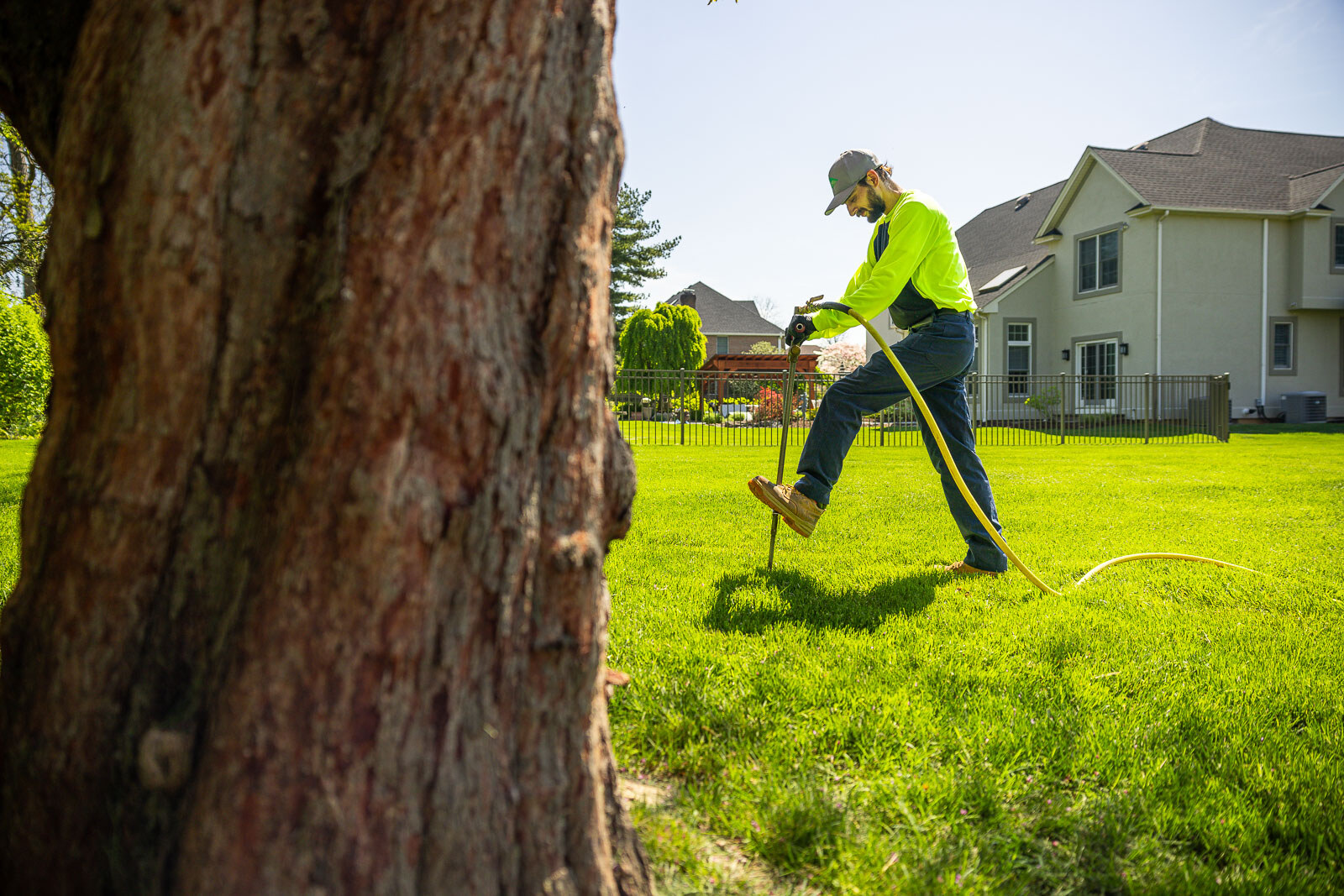 plant health care technician performing deep root fertilization on a large tree