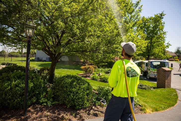 plant health care technician spraying shrubs in a planting bed 4