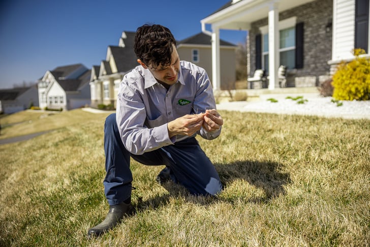 lawn care technician inspection 5