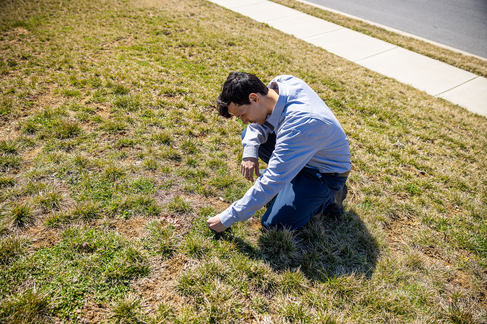 lawn care technician inspection 9