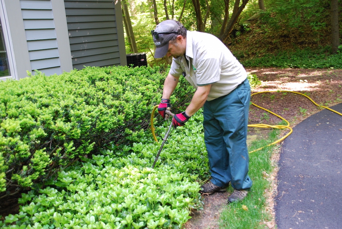 Shrub fertilization store