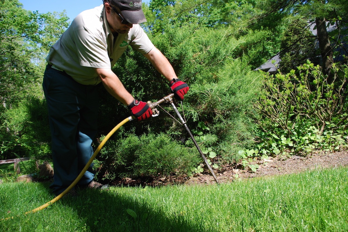 deep-root-fertilization-for-trees-what-are-the-benefits-and-costs