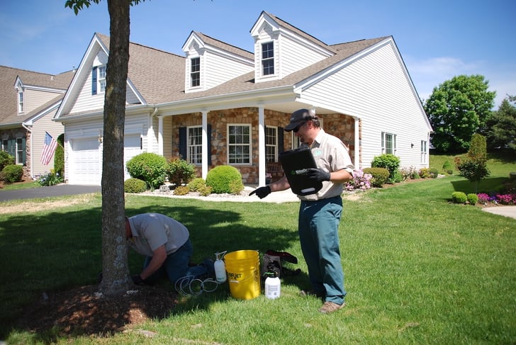 arborists performing a deep-root fertilization injection on a landscape tree