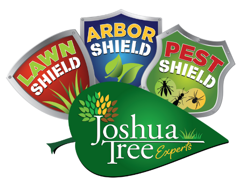 Refer a Friend | Joshua Tree Experts