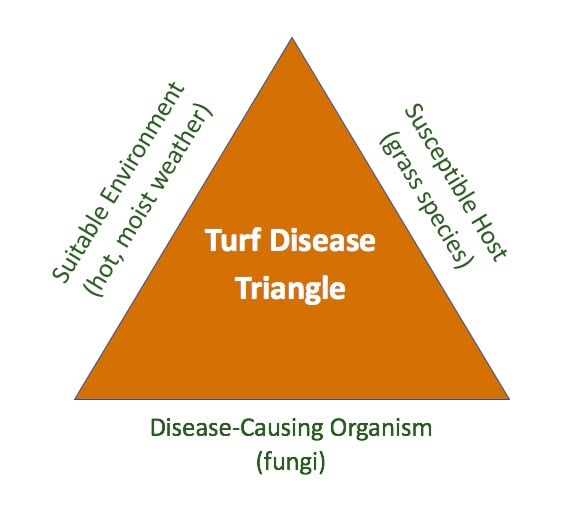 Turf Disease Triangle - JT - 2