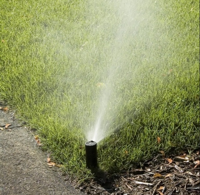 irrigation watering grass
