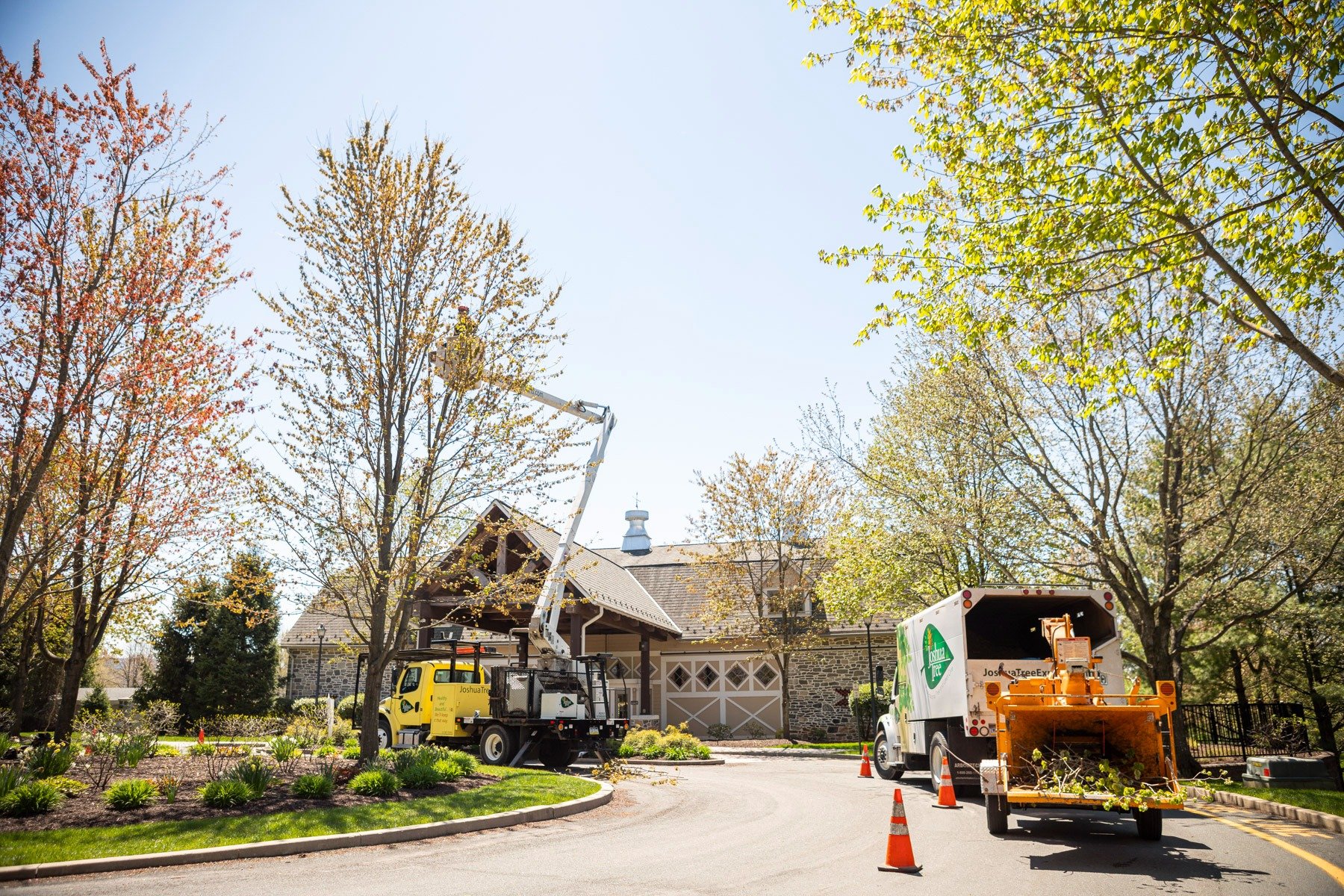 Commercial Tree Services in Morristown, NJ