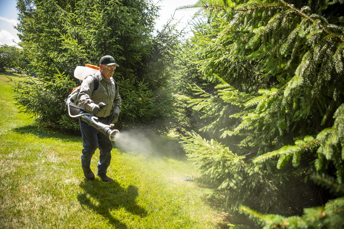 mosquito control technician spraying around trees