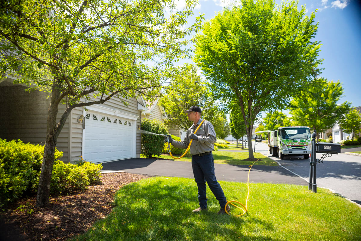 How to Care for Your Newly Planted Trees: 3 Important Tips