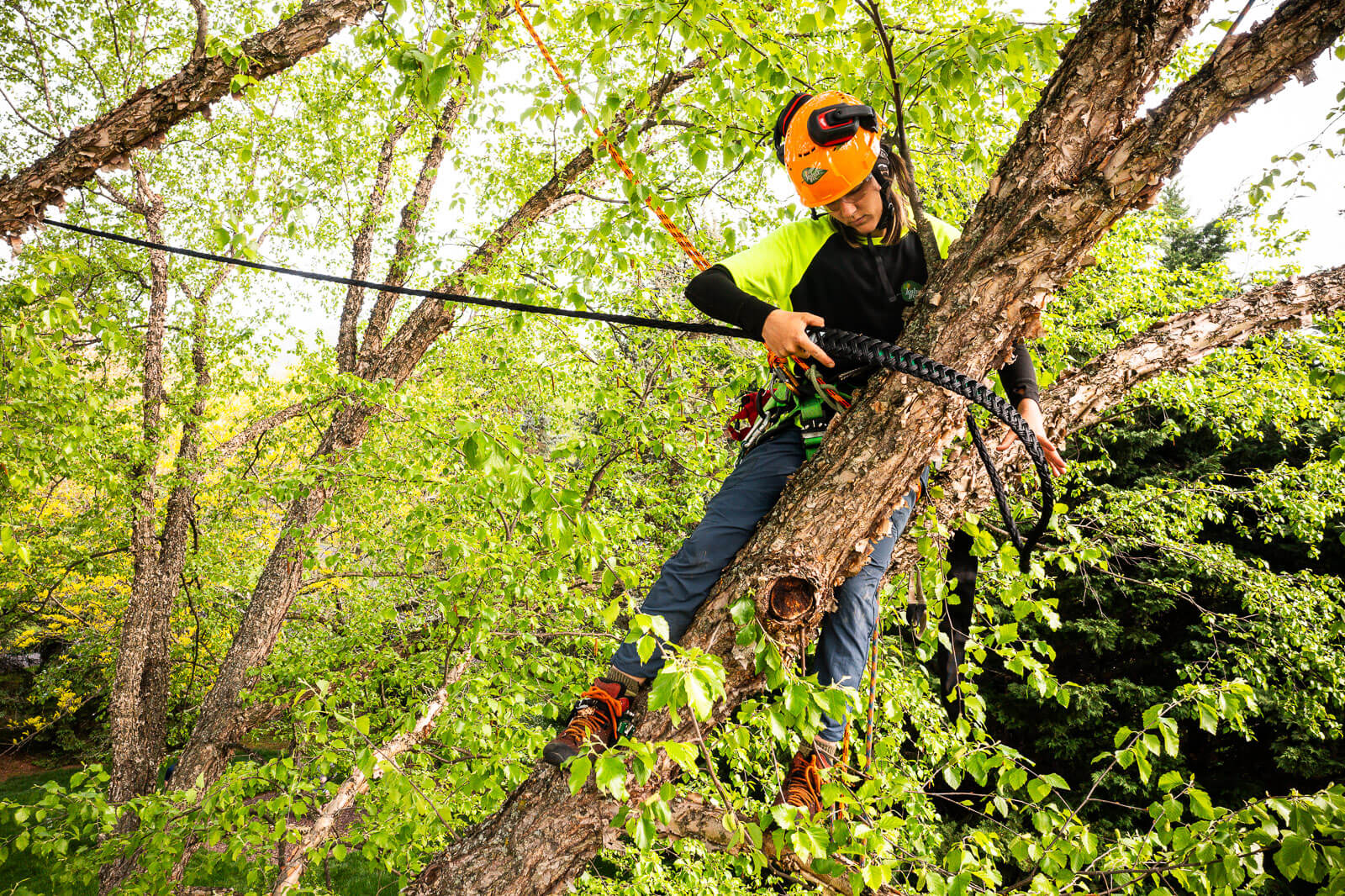 cabling and bracing