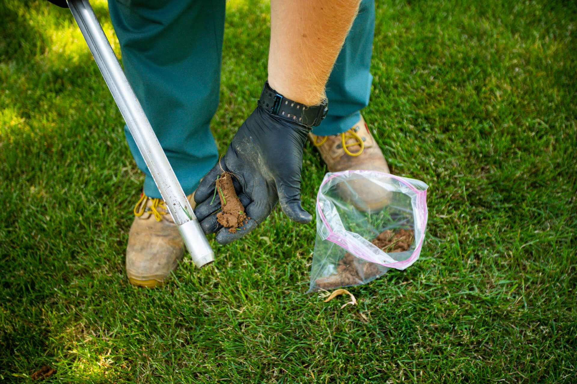lawn tech taking soil plug samples